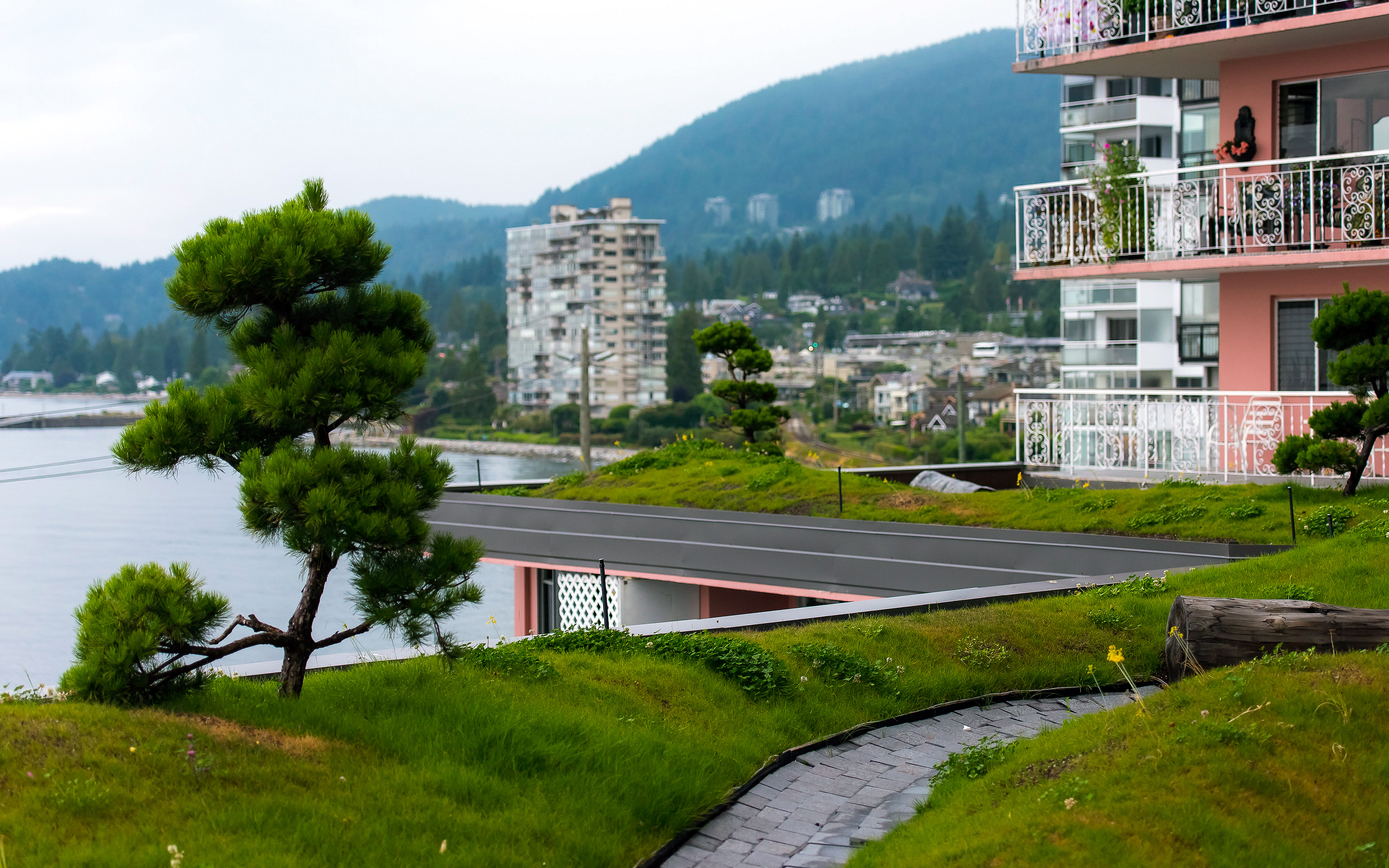 Roof garden with berms, grasses and small pine trees 